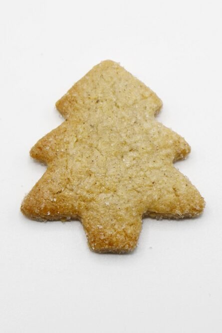 sapin-biscuit4