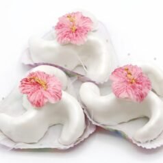 Biscuits glacés aux amandes « Arayech »